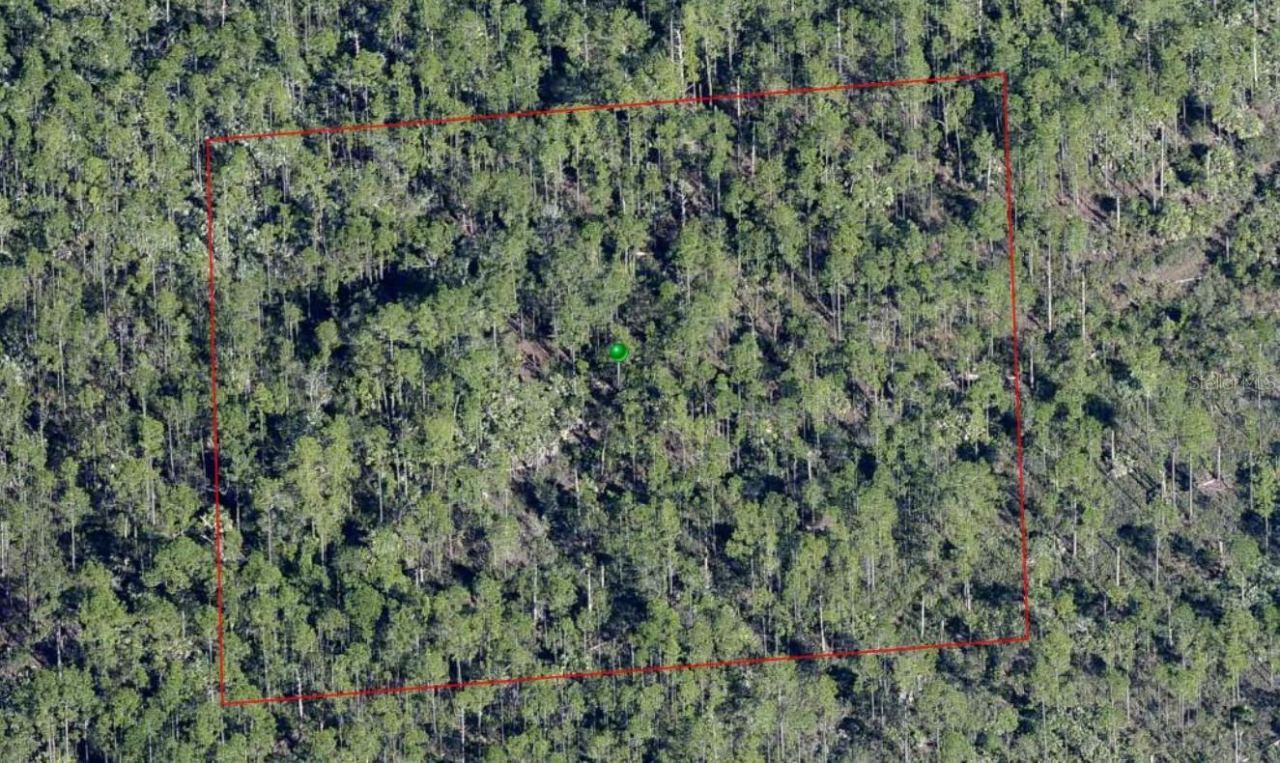 Lake Harney Rd, Osteen, FL 32764