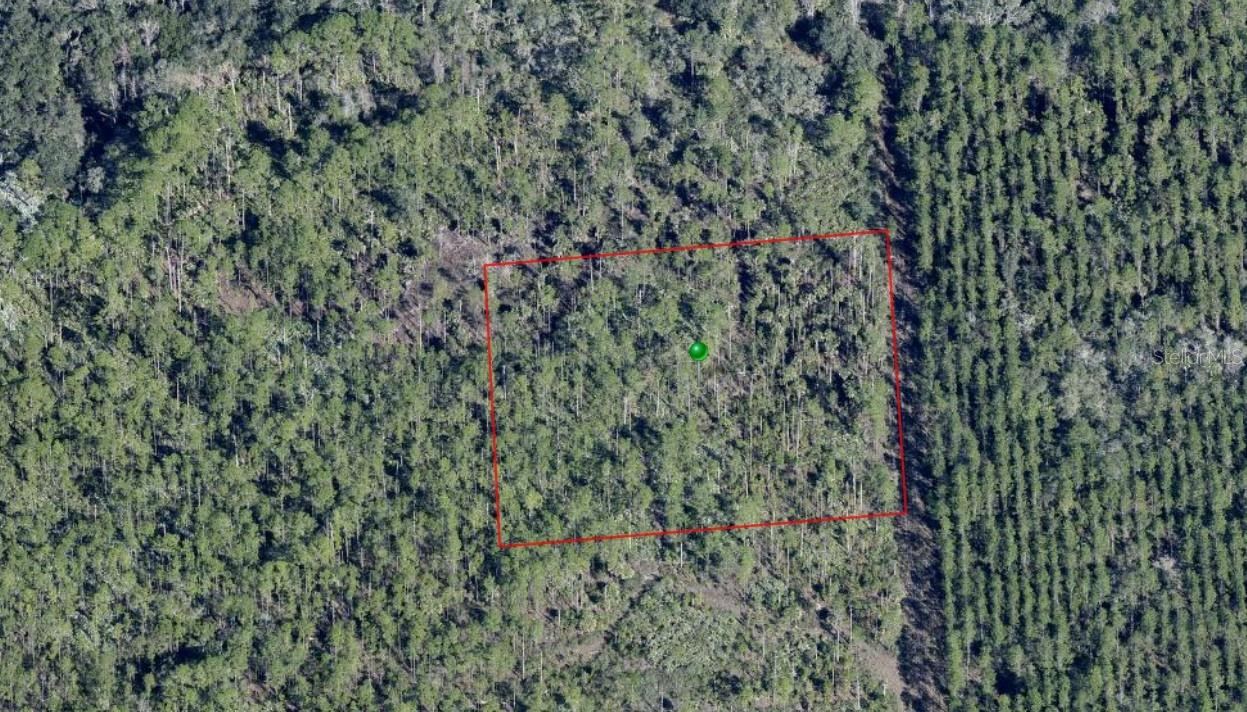 Lake Harney Rd, Osteen, FL 32764