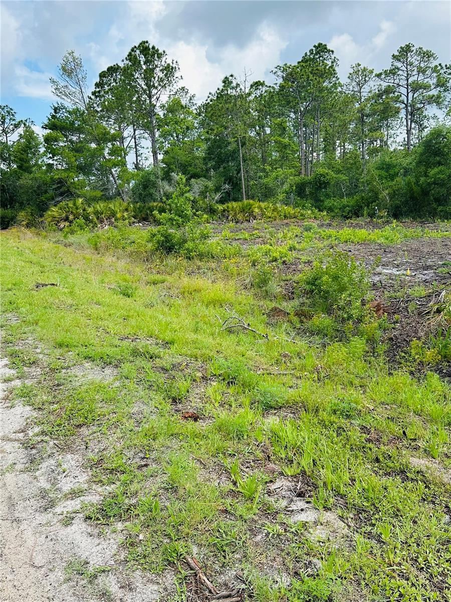 Photo 5 of 2873 Laurel Rd, Deland, FL 32724