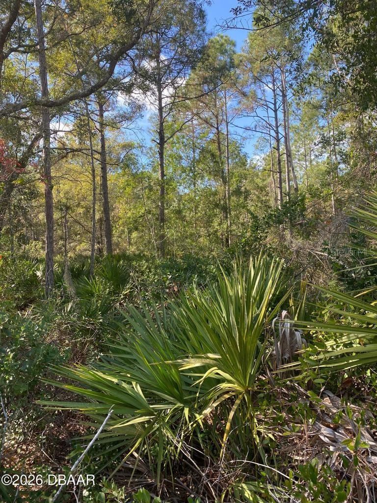 Photo 2 of 820 Old Bubbly Rd, Pierson, FL 32180