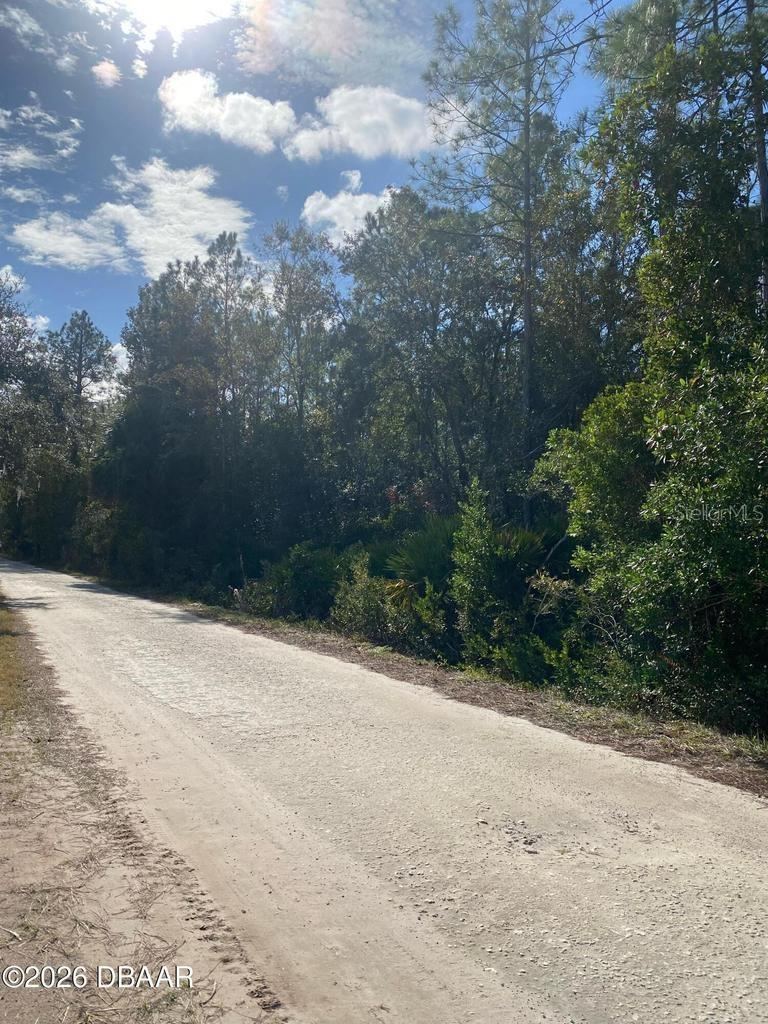 Photo 4 of 820 Old Bubbly Rd, Pierson, FL 32180