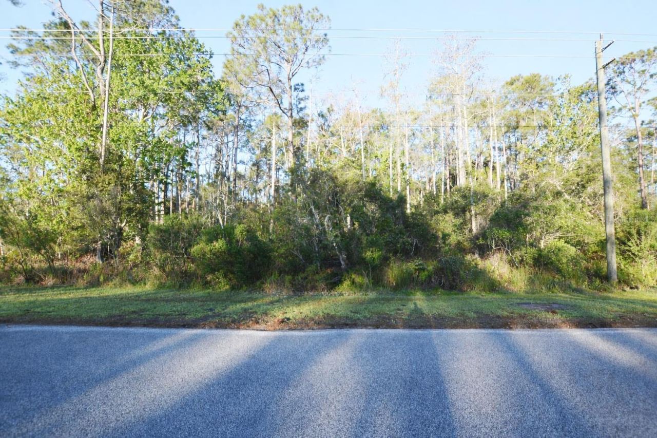 Photo 2 of Xxxx Pine Lakes Pkwy, Palm Coast, FL 32164