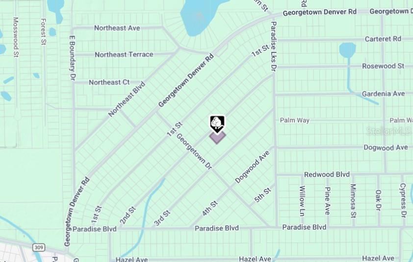 Photo 4 of 207 Se 2nd St, Georgetown, FL 32139