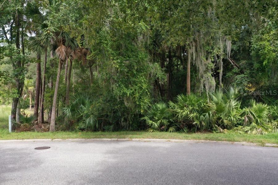 Photo 5 of 165 Willow Oak Way, Palm Coast, FL 32137