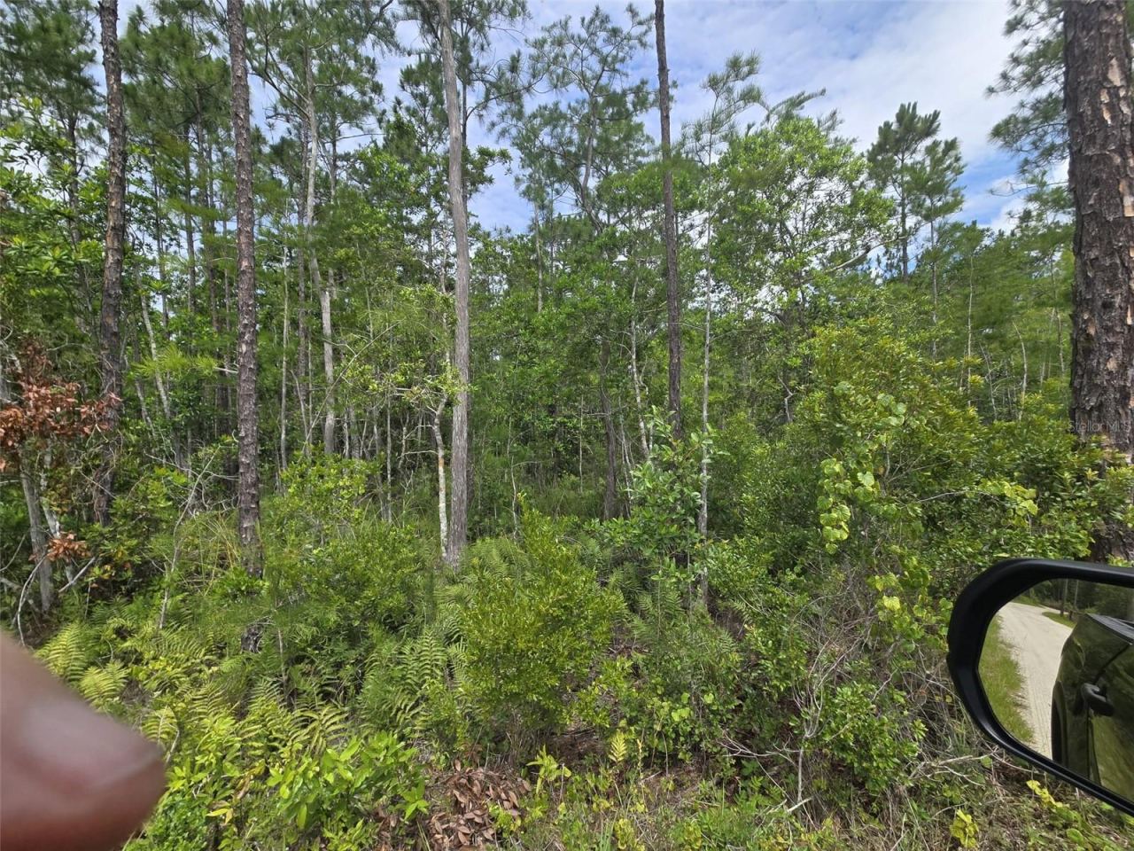Photo 4 of 1135 Omega Ranch Rd #4&5, New Smyrna Beach, FL 32168