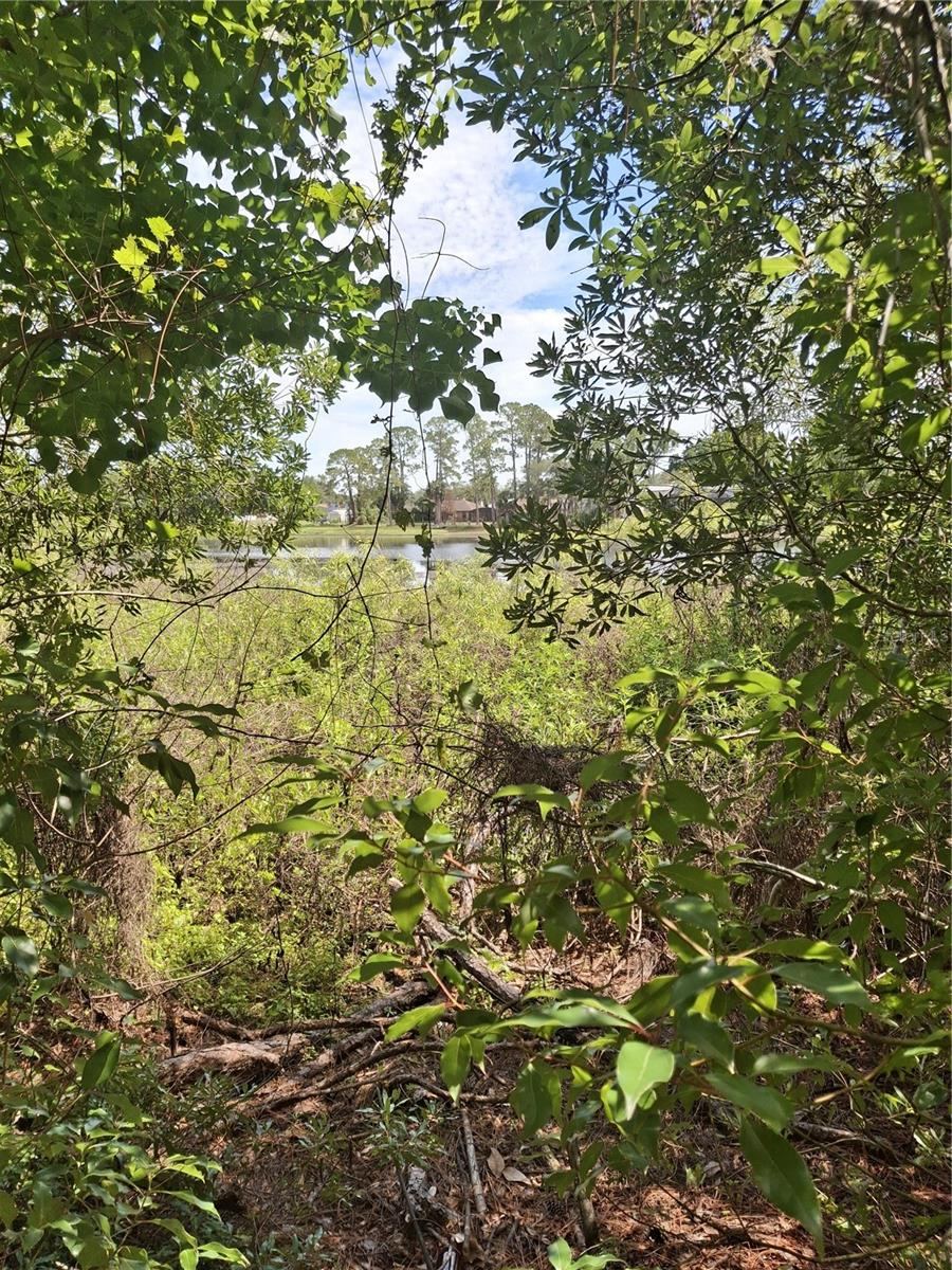Photo 5 of 885 E Lehigh Dr, Deltona, FL 32738
