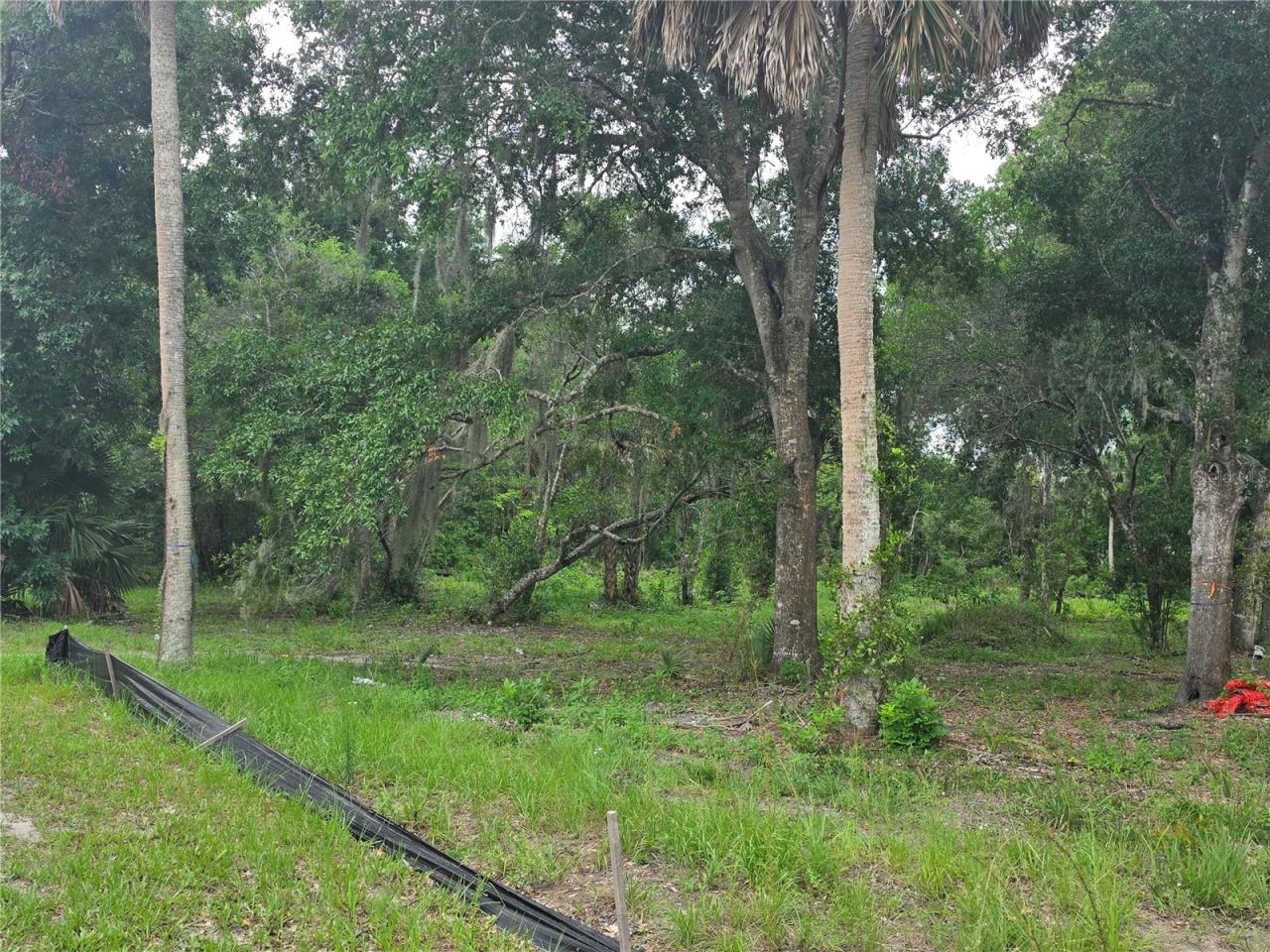 Photo 5 of 180 Oak Dr, Osteen, FL 32764