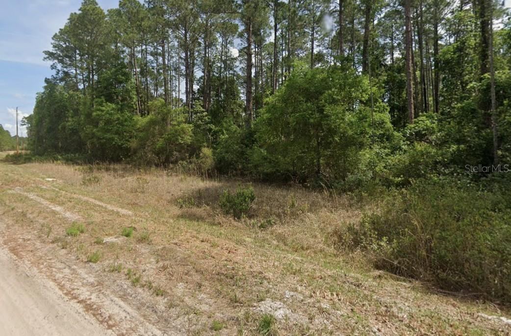 Photo 4 of 136 Shorewood St, Georgetown, FL 32139