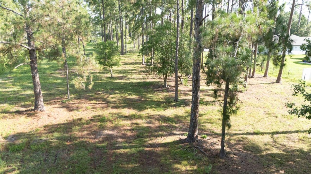 Photo 4 of No Street, Deland, FL 32720