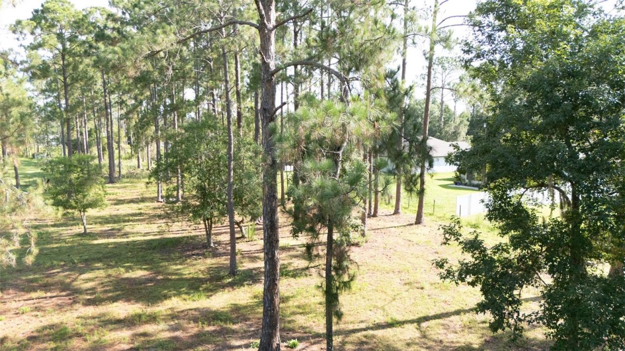Photo 5 of No Street, Deland, FL 32720