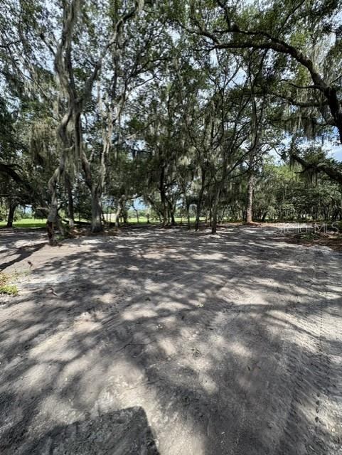 Photo 4 of County Road 309, Crescent City, FL 32112