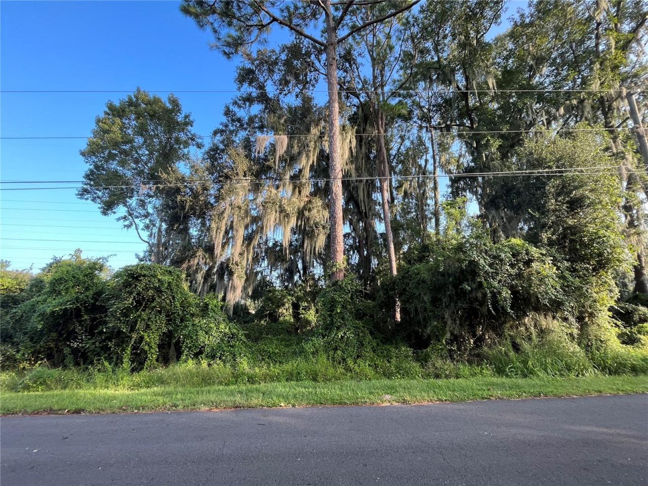 Photo 5 of 262 Toms Rd, Debary, FL 32713
