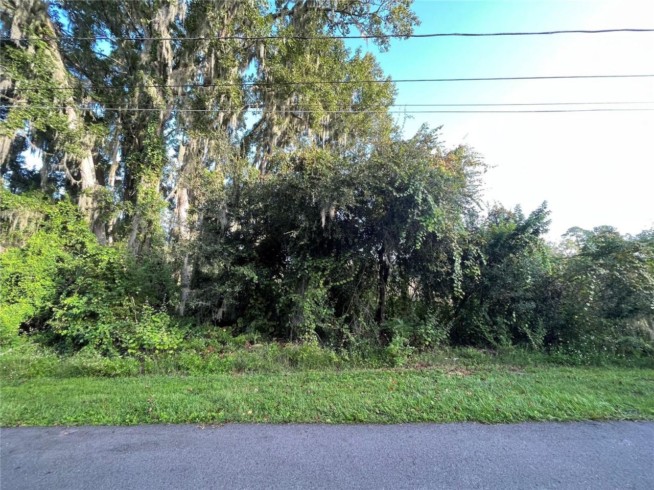 Photo 5 of 264 Toms Rd, Debary, FL 32713