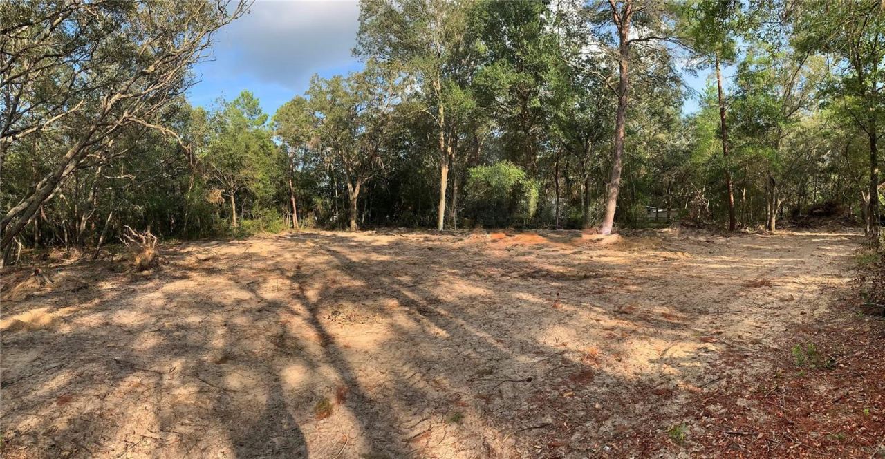 Photo 5 of 132 Sw 52nd Ave, Interlachen, FL 32148