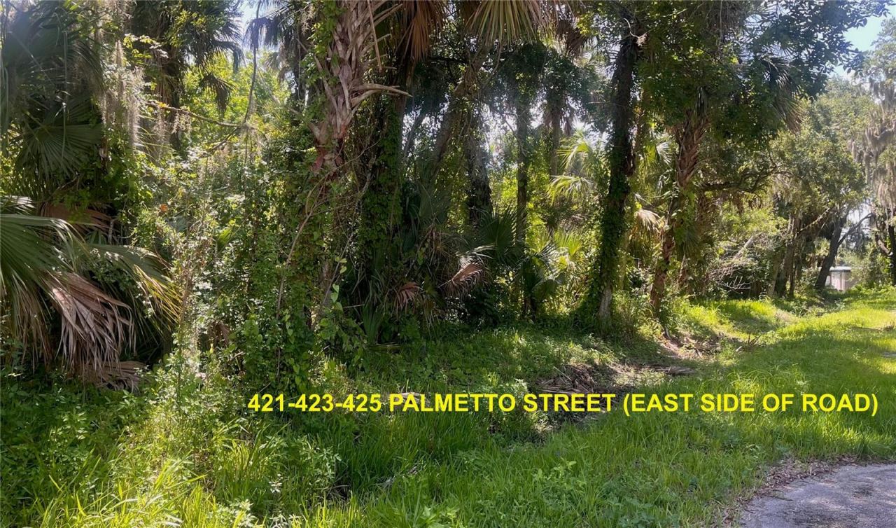 Photo 4 of 420-428 Palmetto St, Edgewater, FL 32132