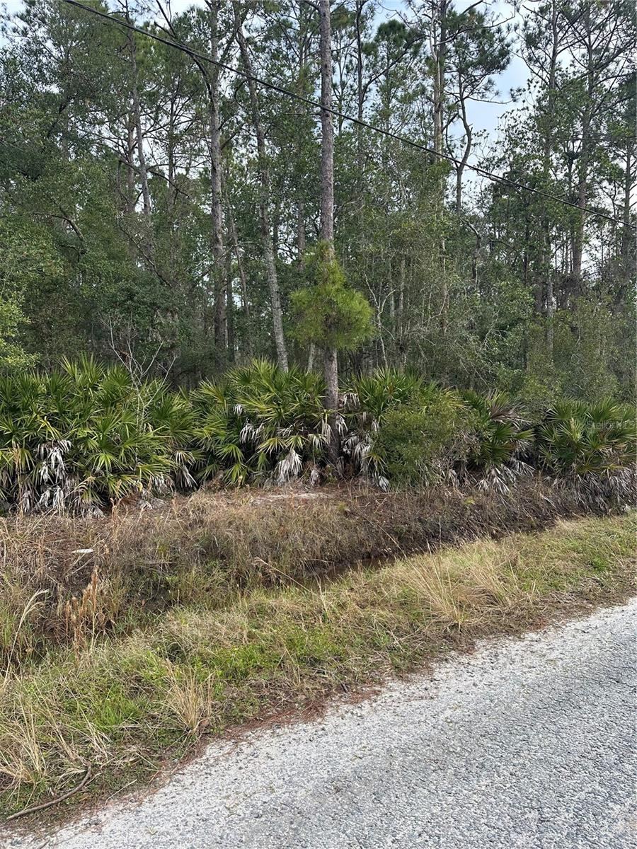 Photo 4 of 2301 10th Ave, Deland, FL 32724