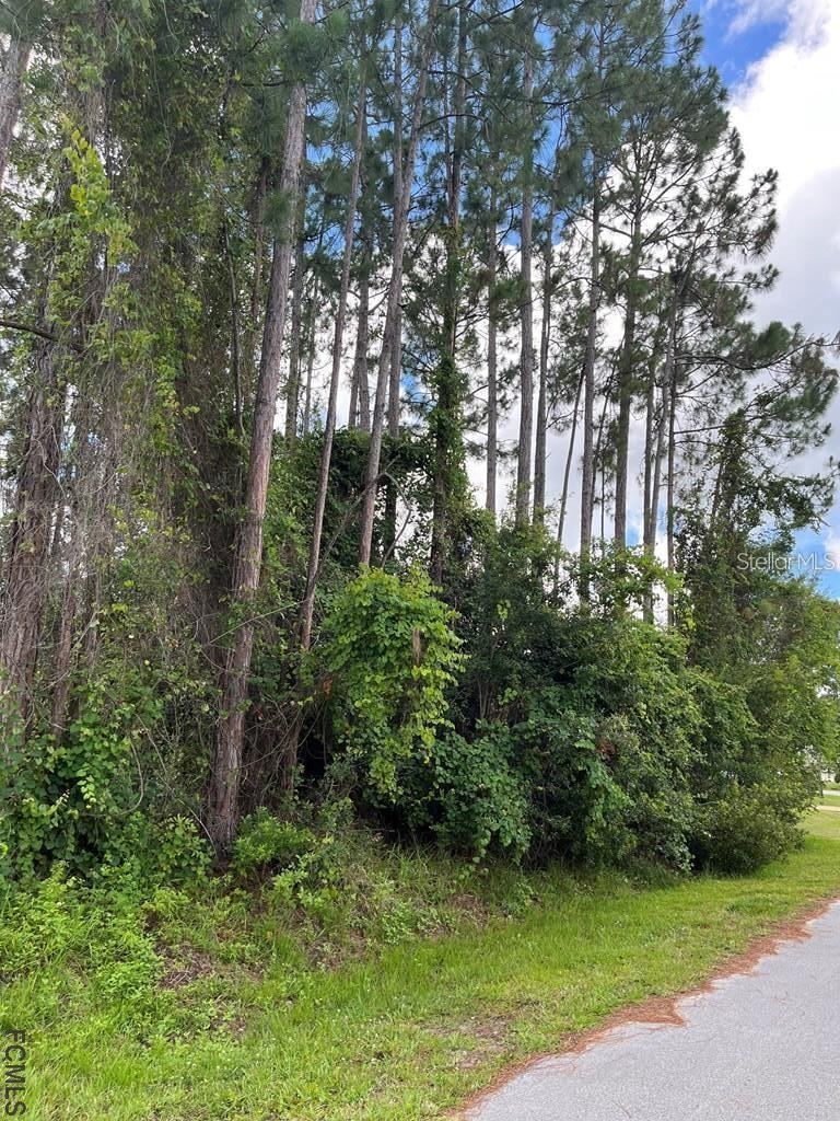 Photo 4 of 85 Port Royal Dr, Palm Coast, FL 32164