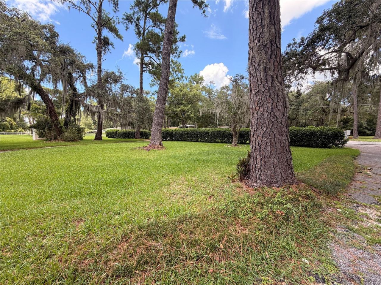 Photo 5 of 1940 Alice Dr, Astor, FL 32102