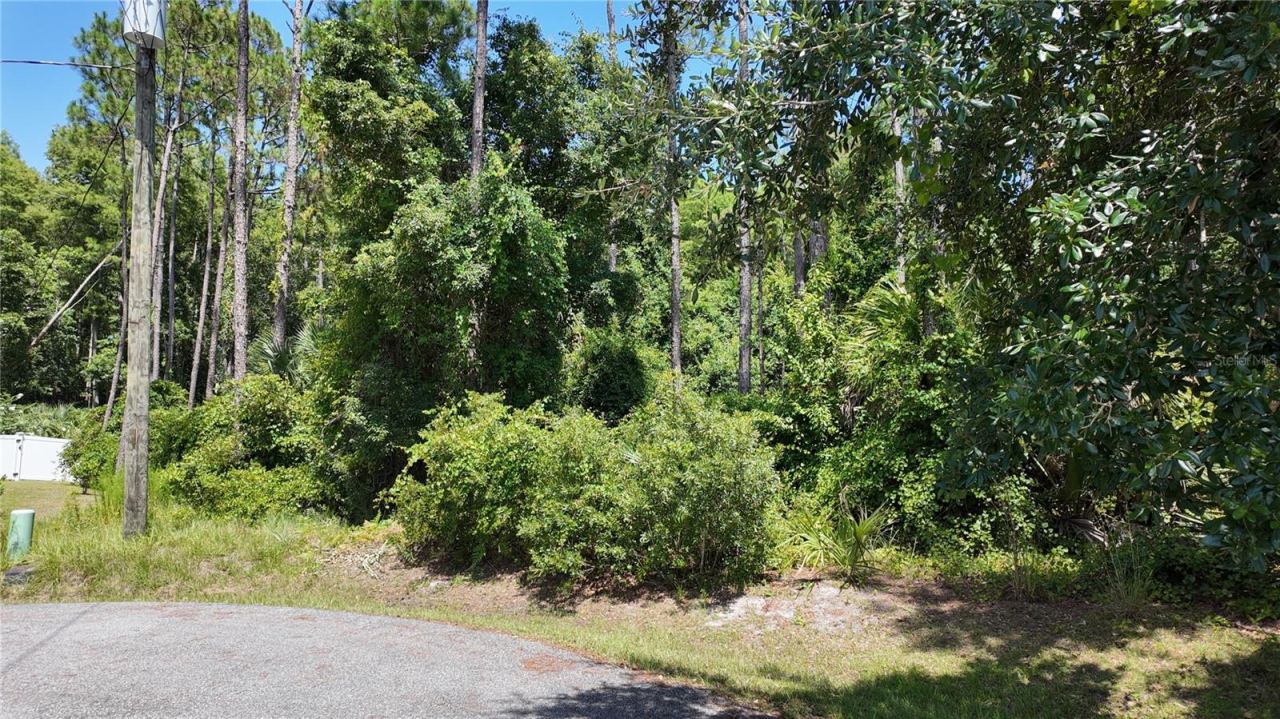Photo 2 of 8 Zaftig Ct, Palm Coast, FL 32164