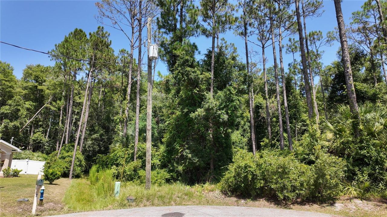 Photo 3 of 8 Zaftig Ct, Palm Coast, FL 32164