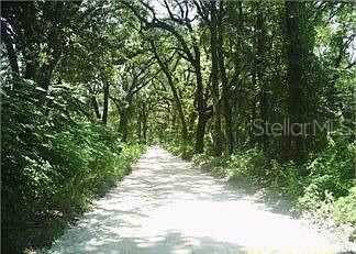 Photo 5 of 148 Arden St, Georgetown, FL 32139