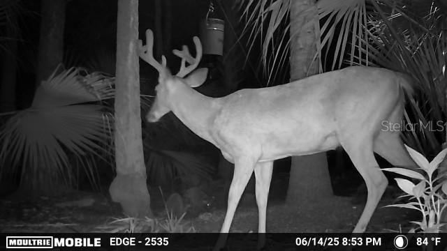 Photo 4 of Volco Rd, Edgewater, FL 32141
