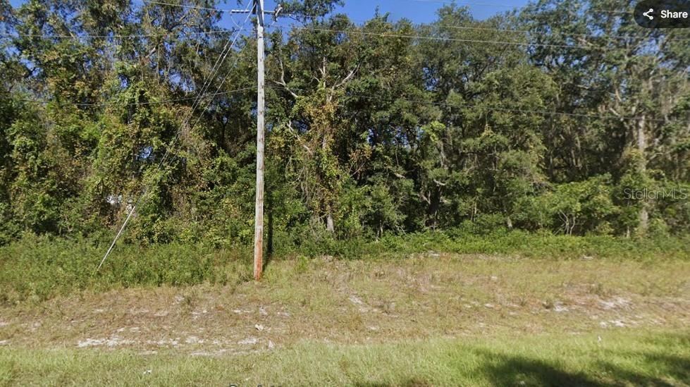 Photo 4 of Cordell Ave, Interlachen, FL 32148