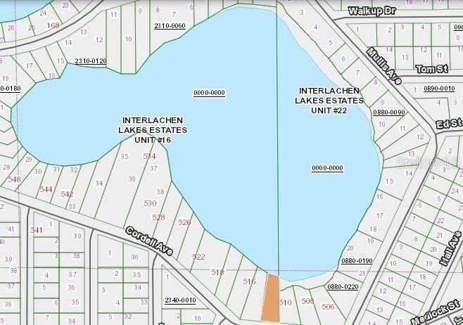 Photo 5 of Cordell Ave, Interlachen, FL 32148