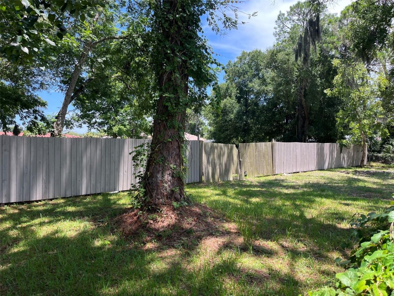 Photo 4 of 707 Cherry St, New Smyrna Beach, FL 32168