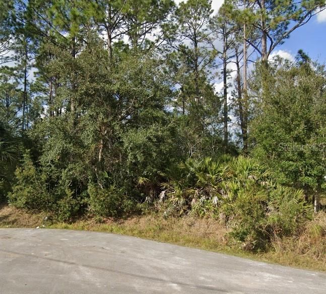Photo 2 of 16 Sleeping Beauty Pl, Palm Coast, FL 32164