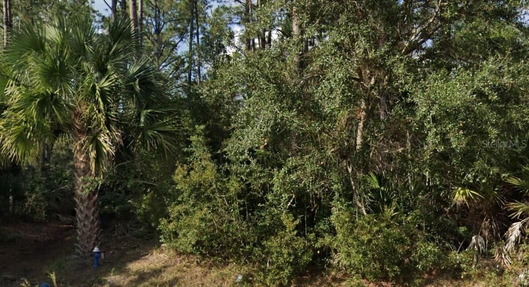 Photo 3 of 16 Sleeping Beauty Pl, Palm Coast, FL 32164