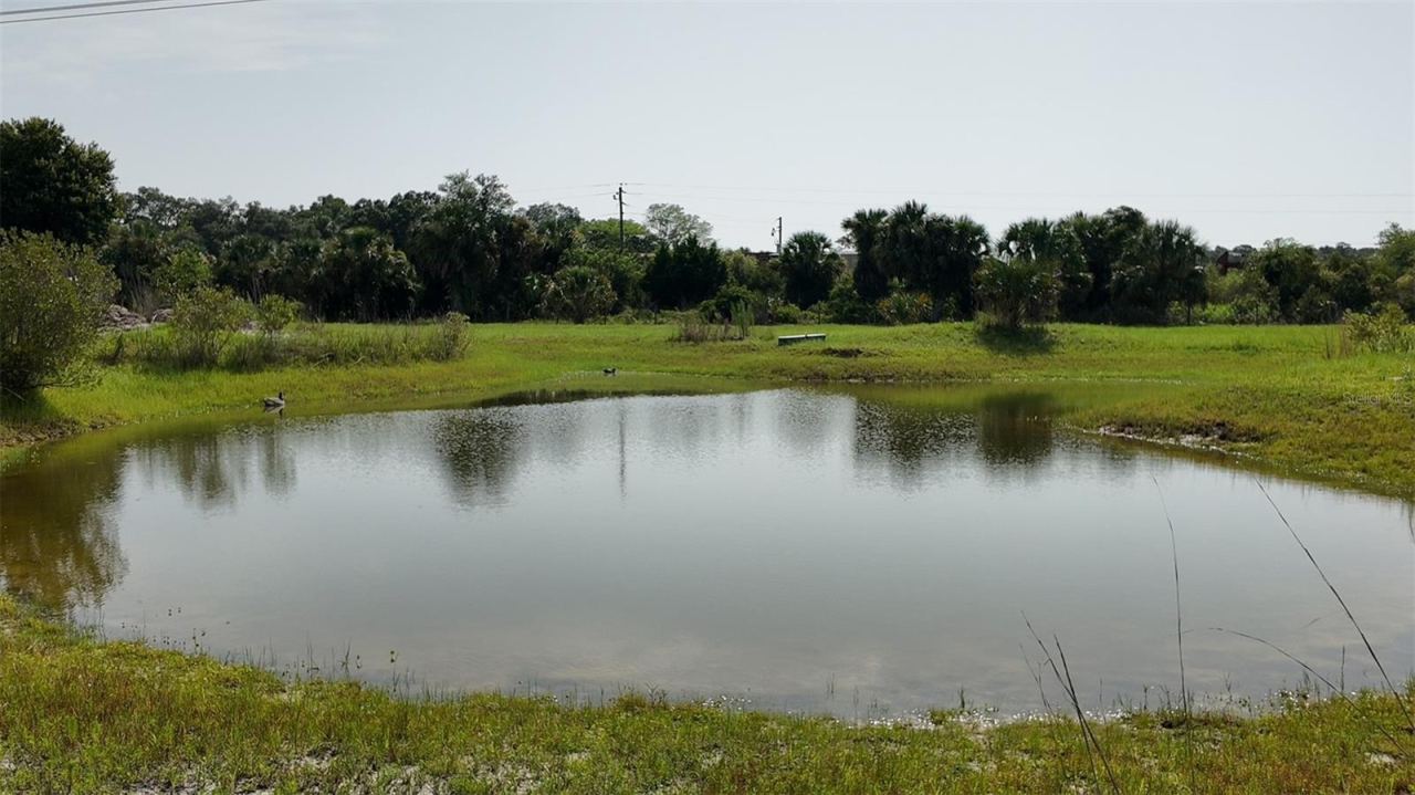 Photo 5 of 345 Trotting Trl, Osteen, FL 32764