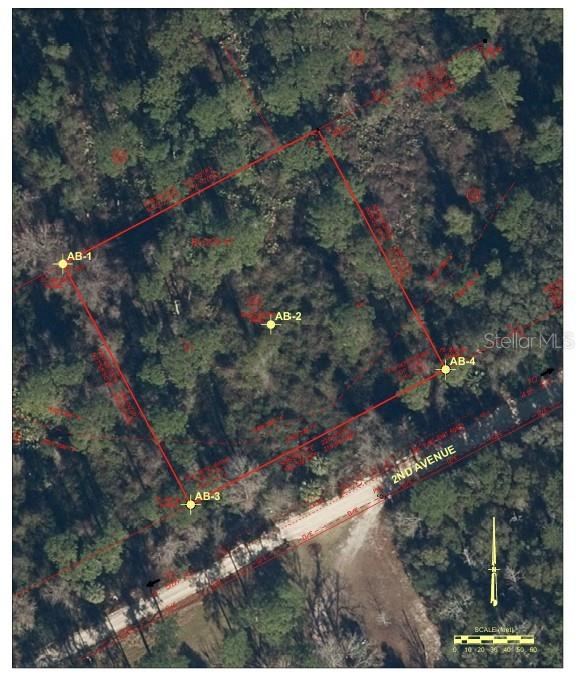 Photo 4 of 212 N 2nd Ave, Satsuma, FL 32189