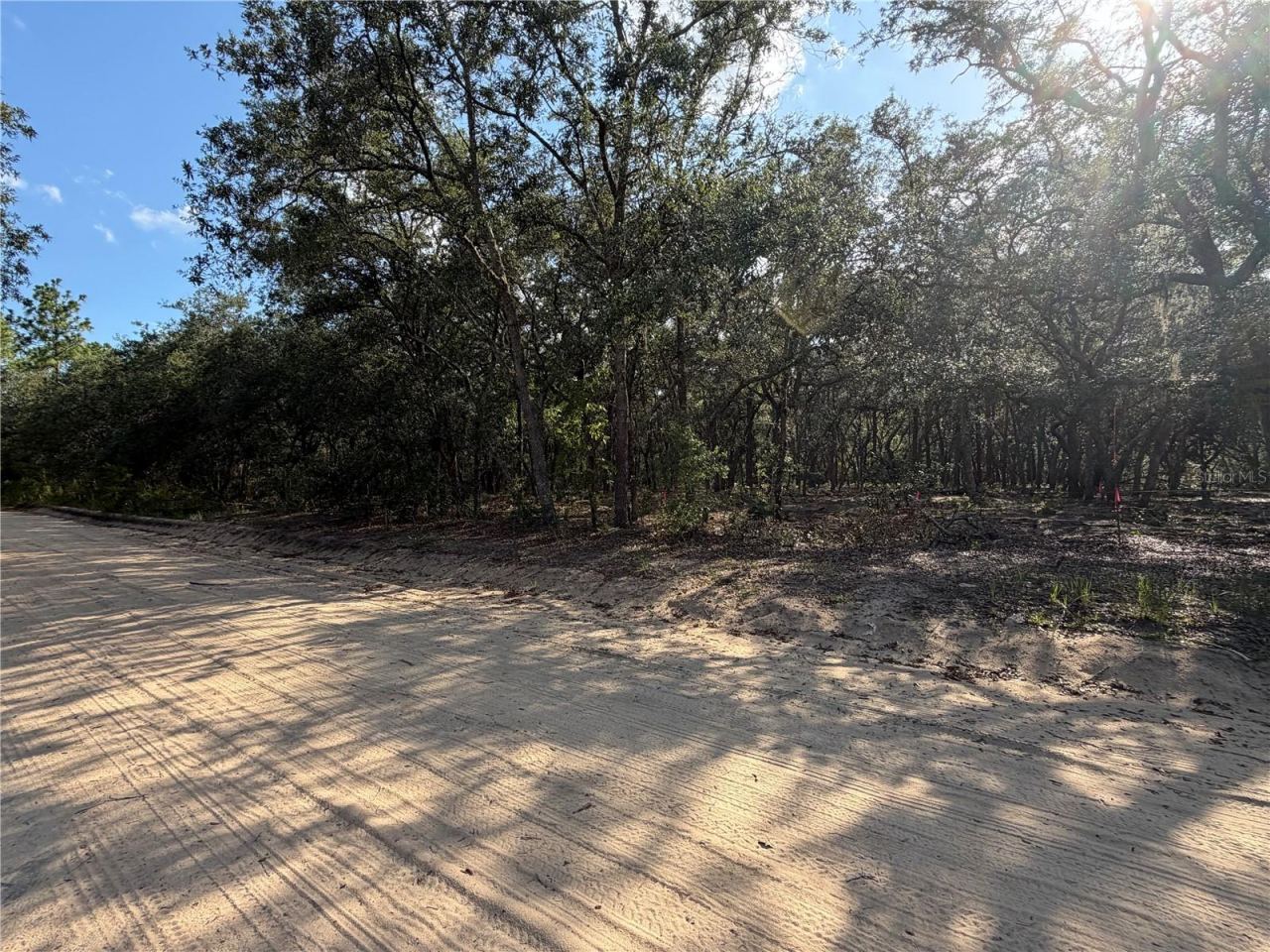 Photo 4 of 103 Sw 53rd Ave, Interlachen, FL 32148