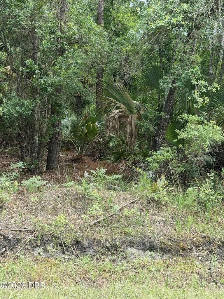 Photo 3 of 00 Ninemile Point Rd, Pierson, FL 32180