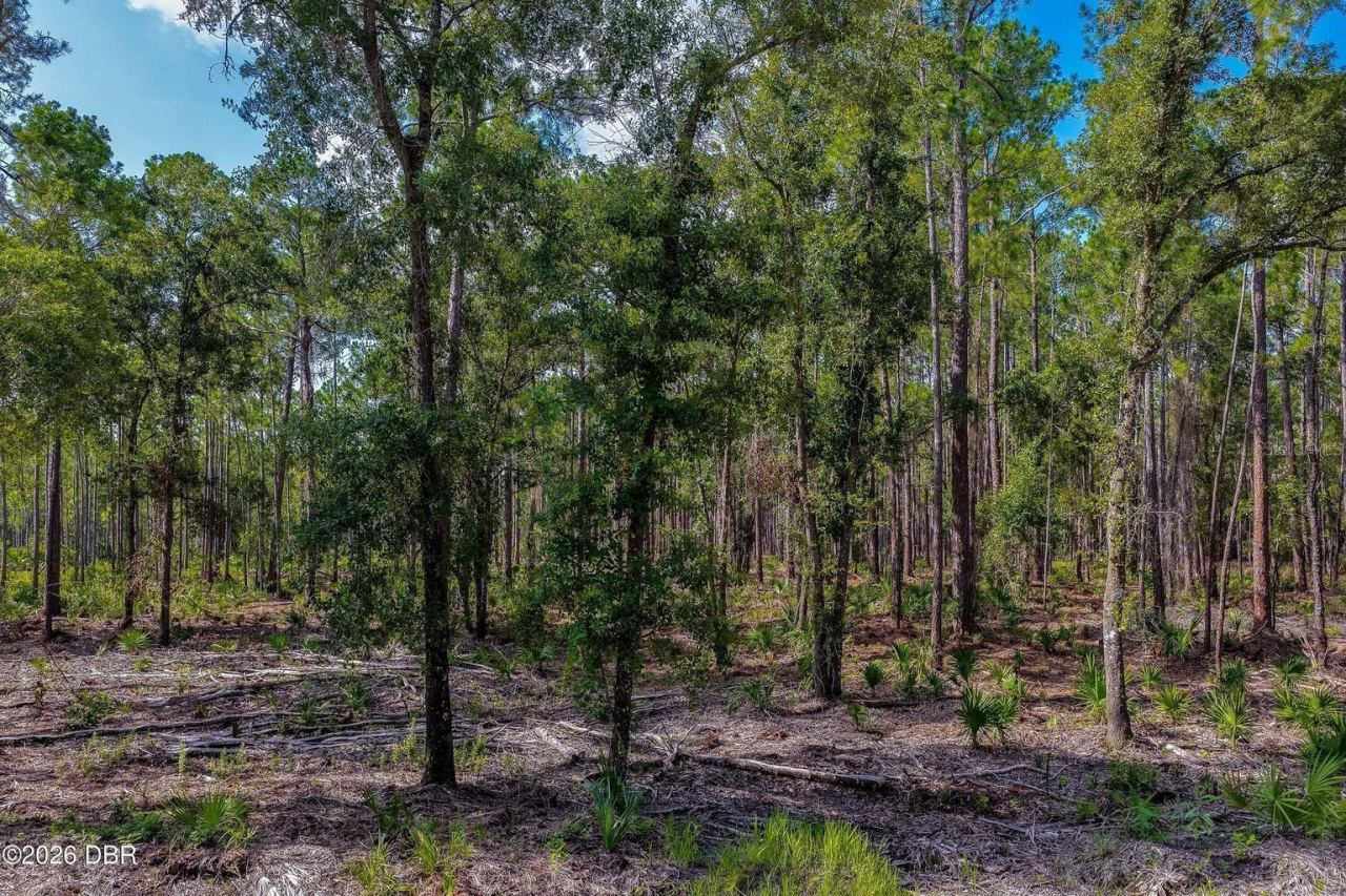 Photo 4 of 00 Ninemile Point Rd, Pierson, FL 32180