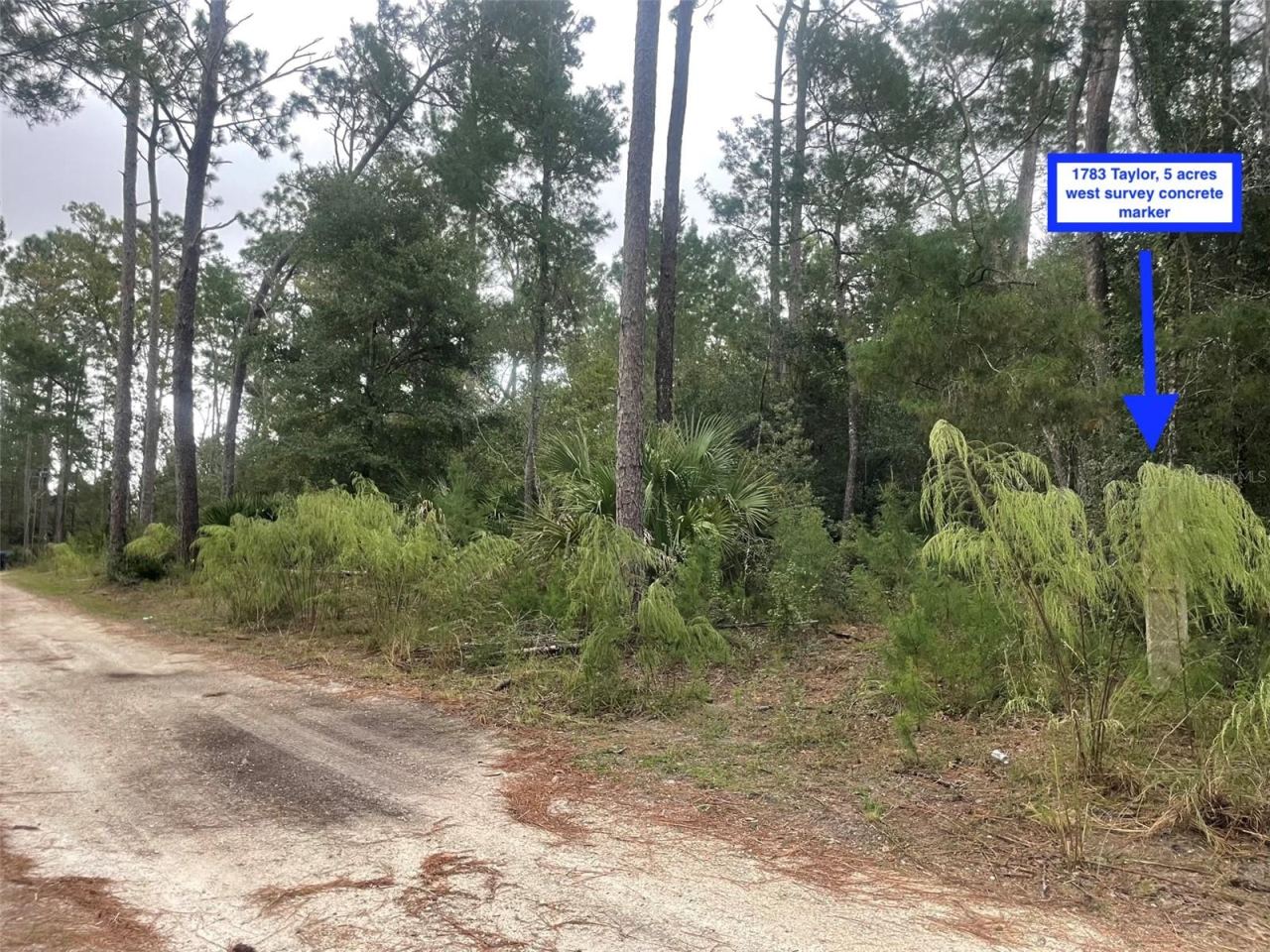 Photo 3 of 1783 Taylor Rd, Port Orange, FL 32128