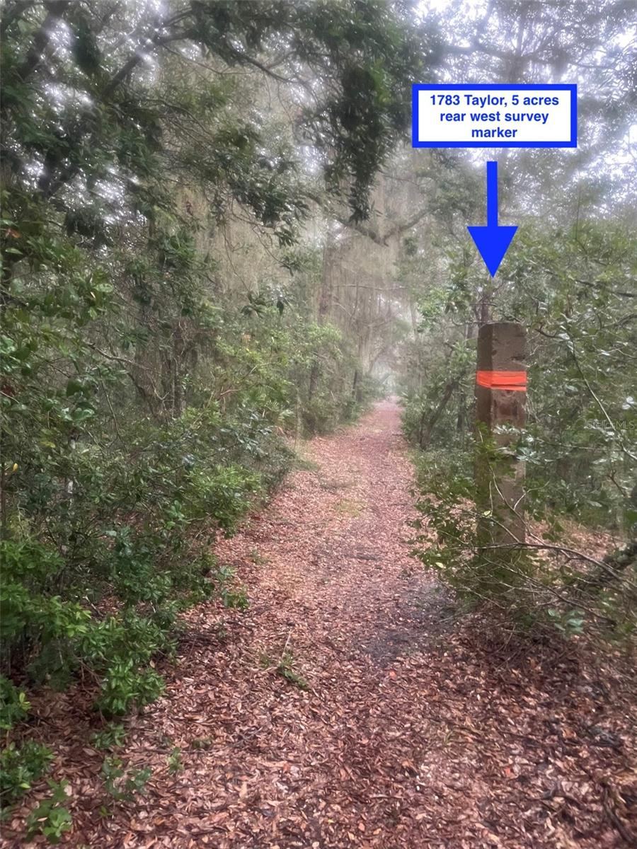 Photo 4 of 1783 Taylor Rd, Port Orange, FL 32128