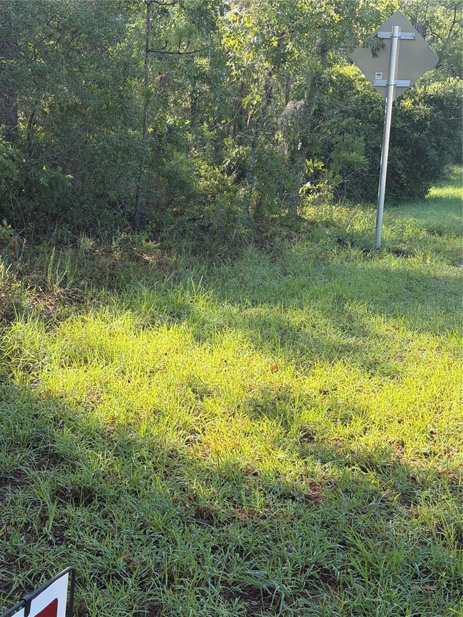 Photo 4 of Alaska Ave, Interlachen, FL 32148