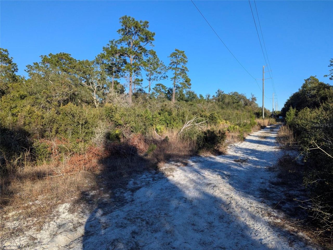 Photo 4 of Nelson Ave, Orange City, FL 32763