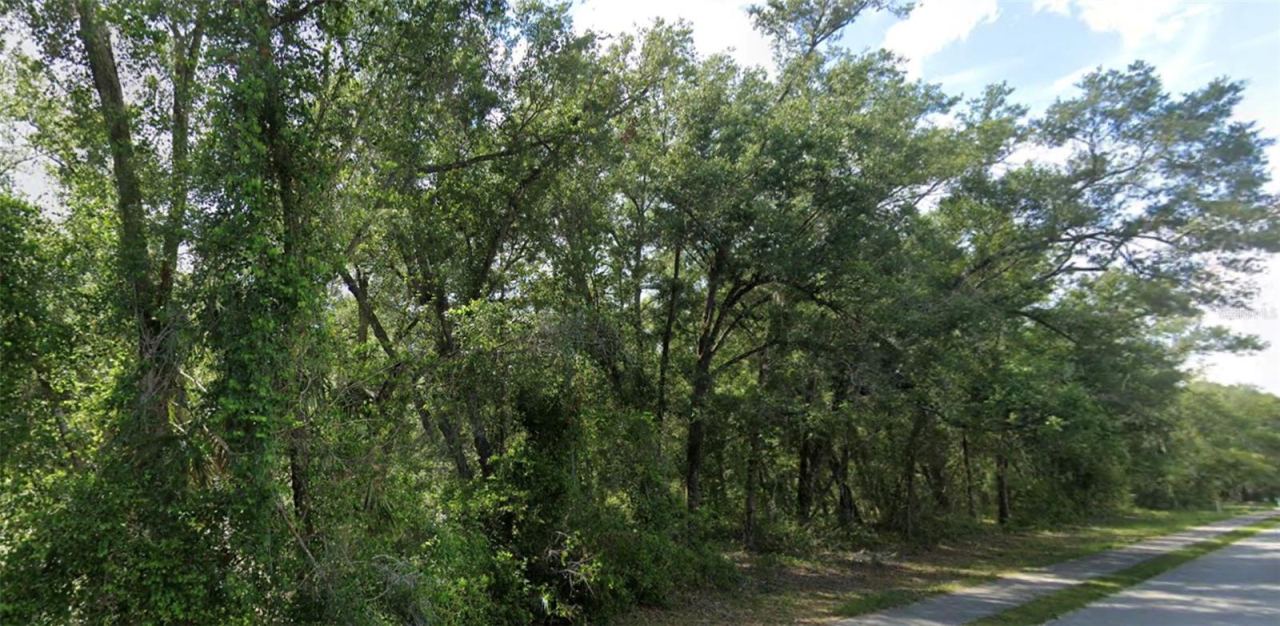 Photo 4 of 426 Church, Lake Helen, FL 32744