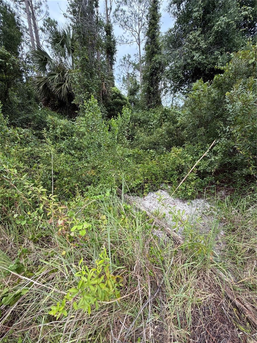 Photo 5 of 1 Kashgar Ct, Palm Coast, FL 32164