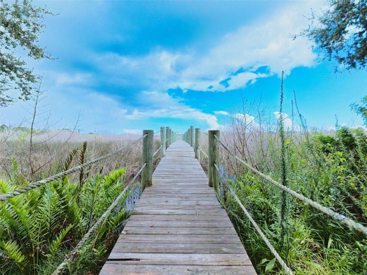 Photo 4 of 1363 Wayne Ave, New Smyrna Beach, FL 32168
