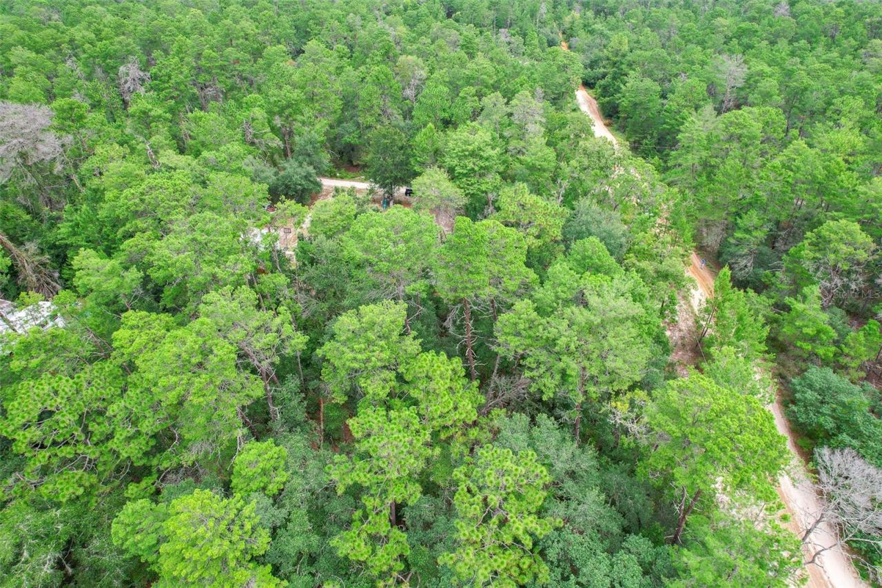 Photo 5 of 206 Utah St, Satsuma, FL 32189