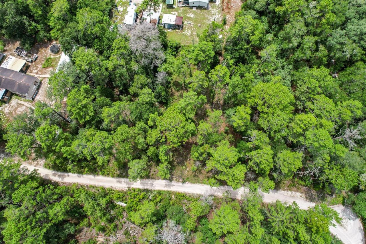 Photo 4 of 202 Utah St, Satsuma, FL 32189