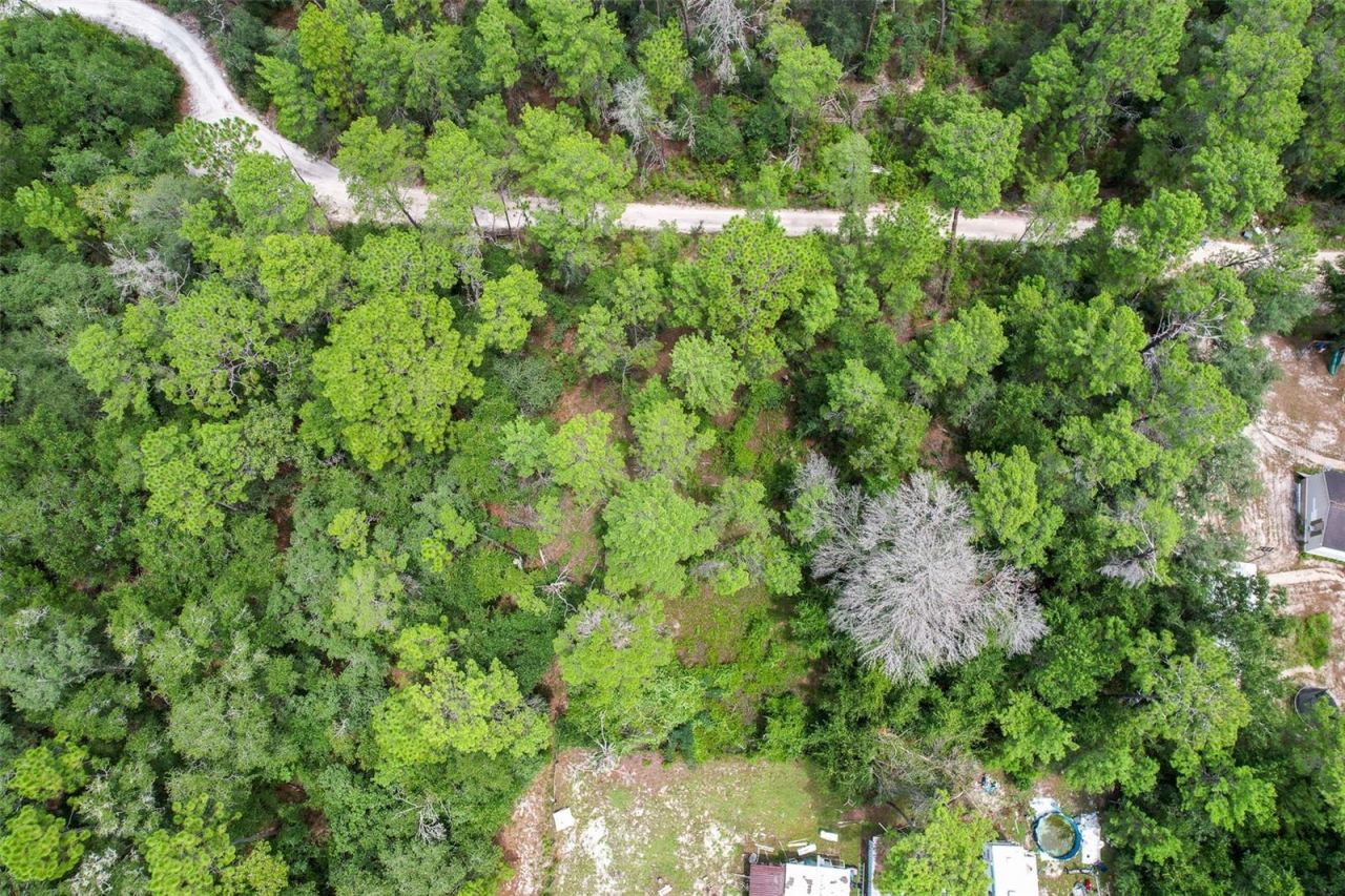 Photo 5 of 202 Utah St, Satsuma, FL 32189
