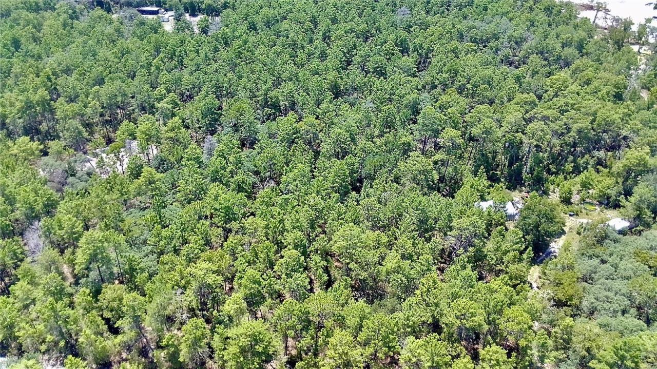 Photo 4 of 121 Pear St, Welaka, FL 32193