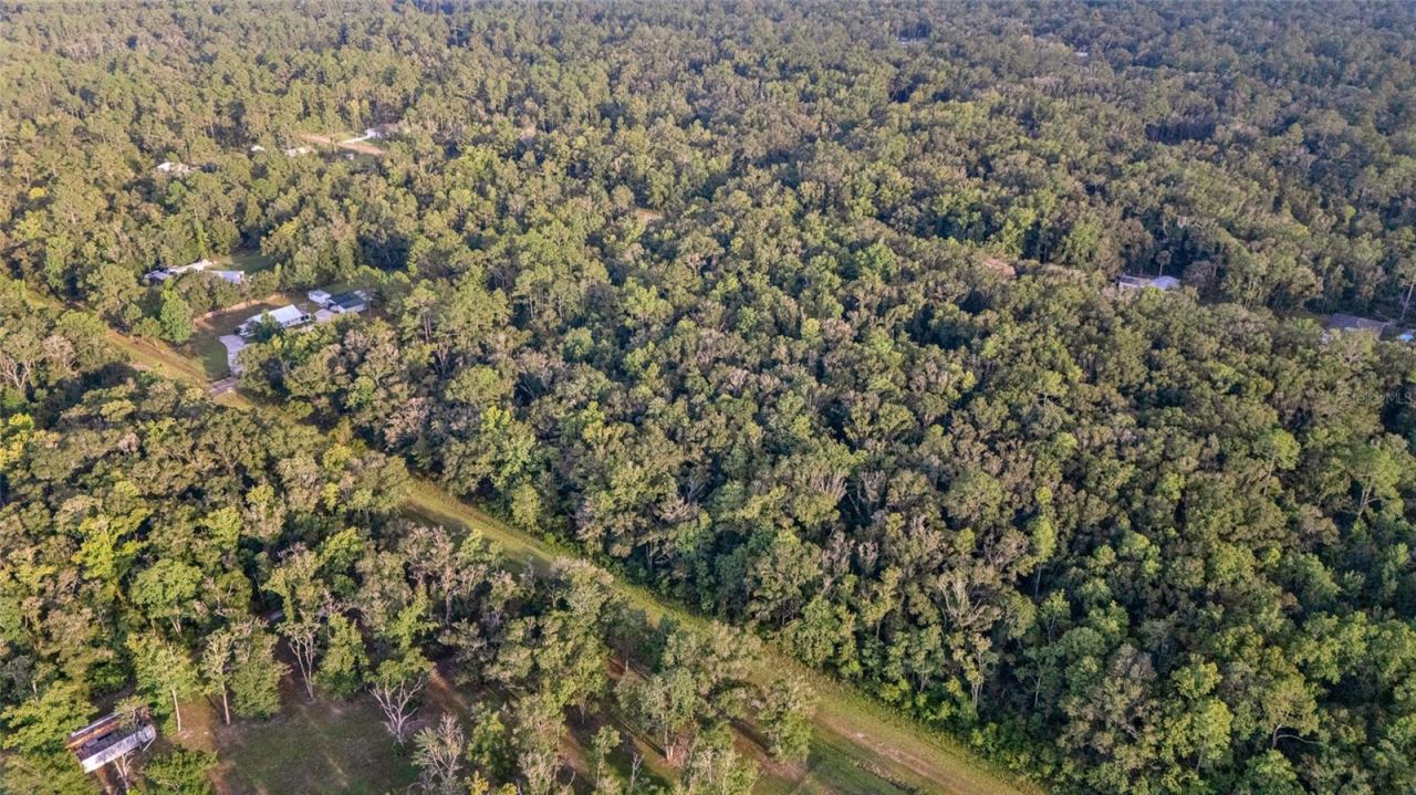 Photo 4 of 4725 Alvin St, Hastings, FL 32145
