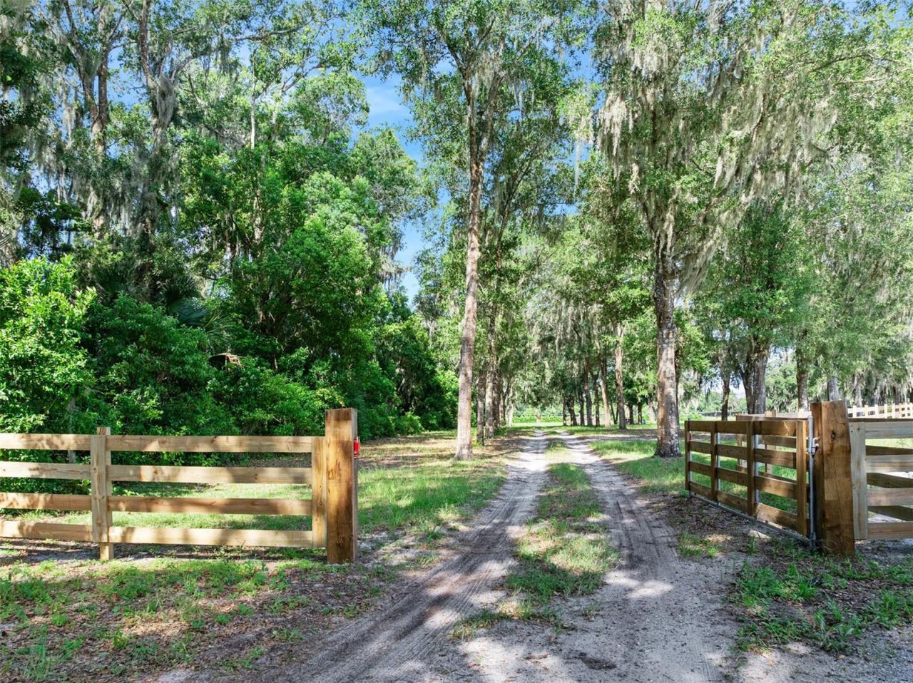 Photo 3 of Blackburn Rd, Pierson, FL 32180