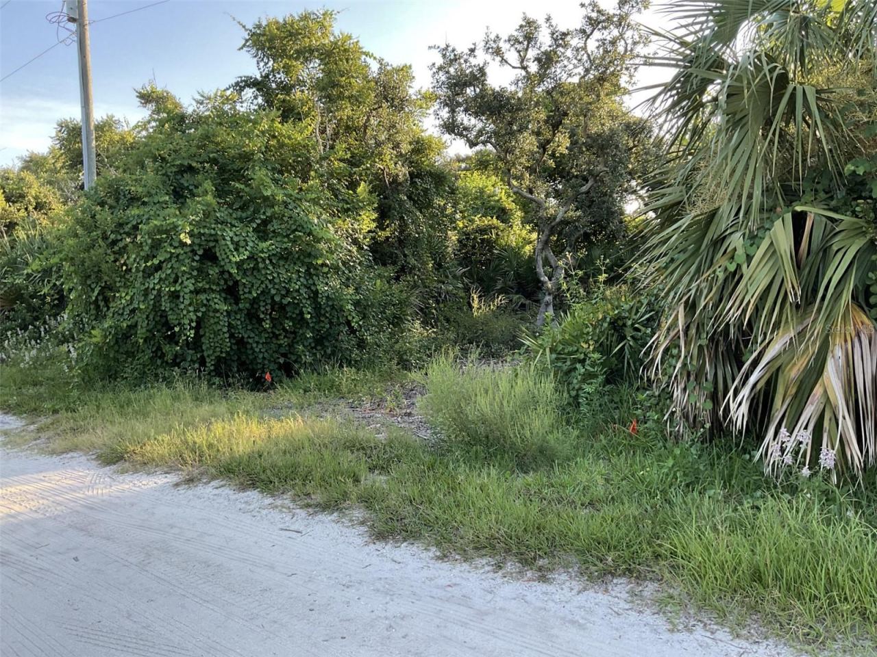 Photo 2 of 5 Dogwood Ter, Palm Coast, FL 32137